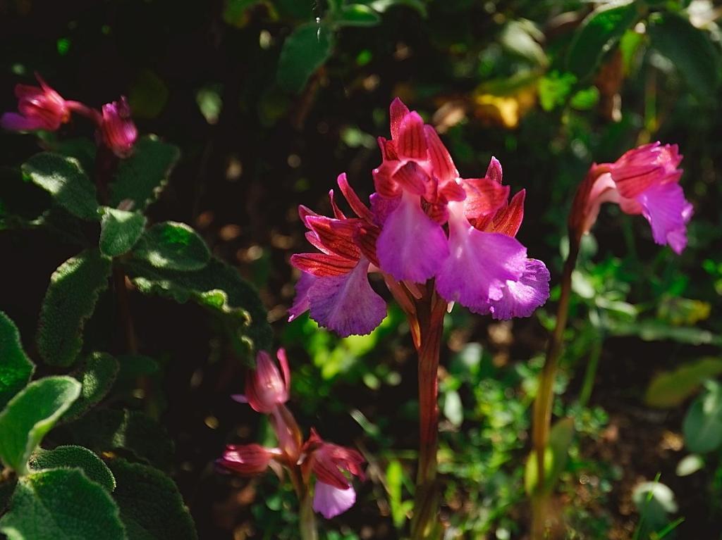 לינה וארוחת בוקר סנטה טרזה גאיורה La Chicca Di Francesca מראה חיצוני תמונה